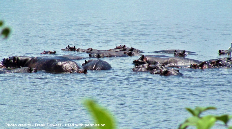 Namibia Caprivi Strip Bwabwata Game Reserve