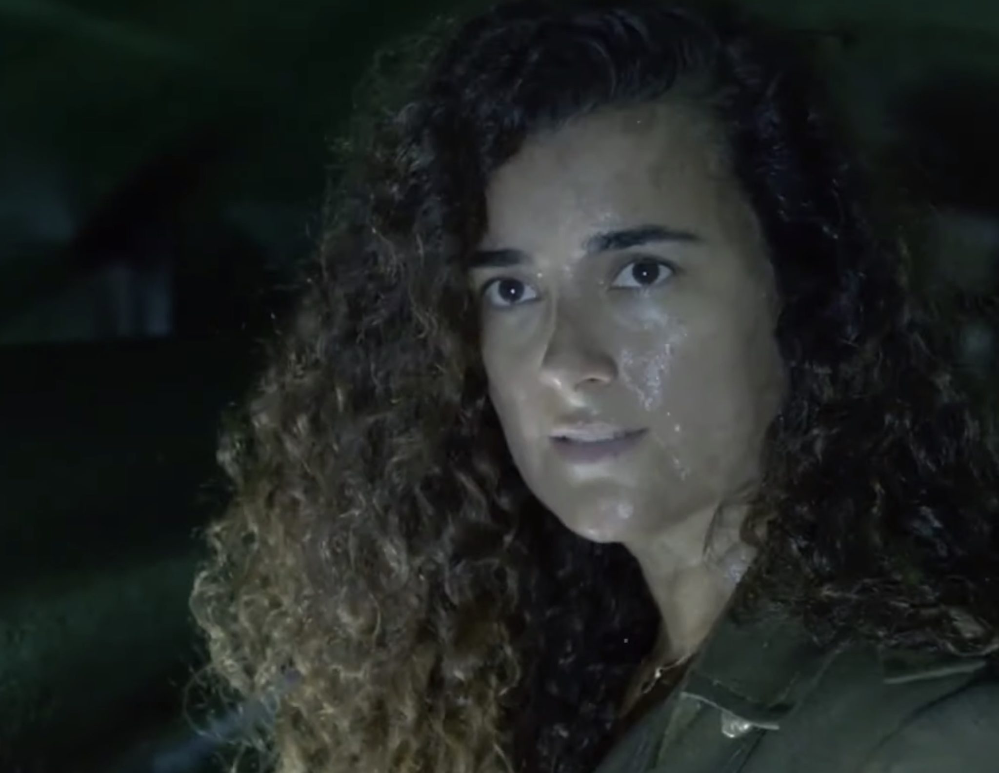Is ziva from now doing what ncis The Real