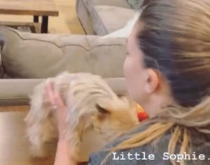 VPR Brittany Cartwright and new puppy Instagram Screenshot