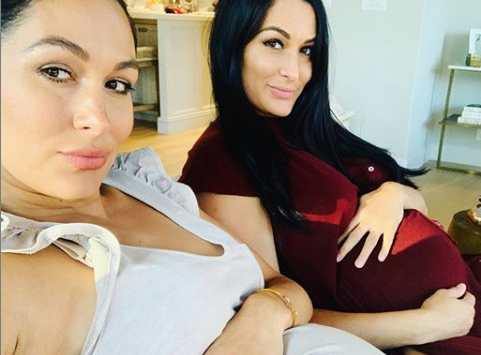 Total Bellas Stars Brie And Nikki Share Nude Maternity Photos - Tv Shows Ace