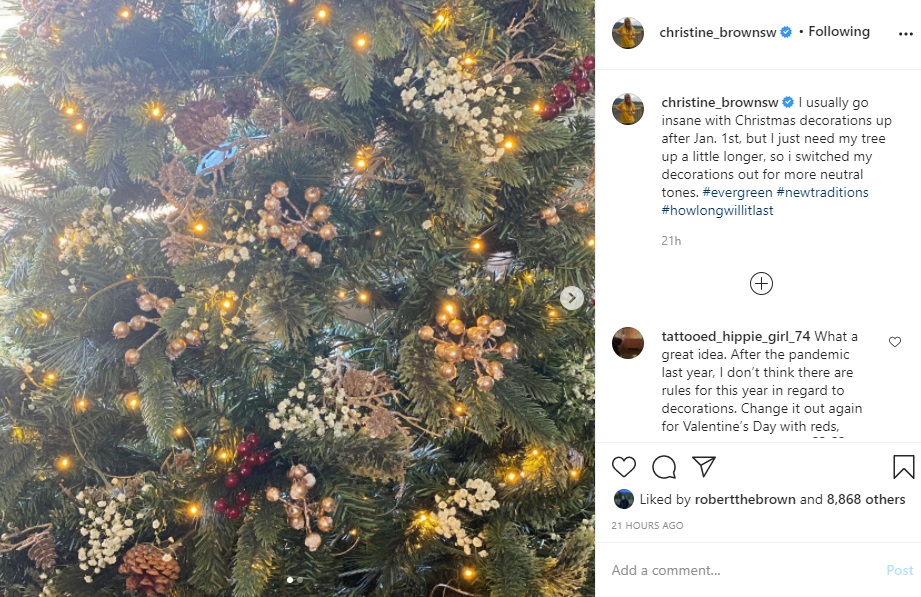 Sister Wives - Christine Brown Christmas Tree Fix