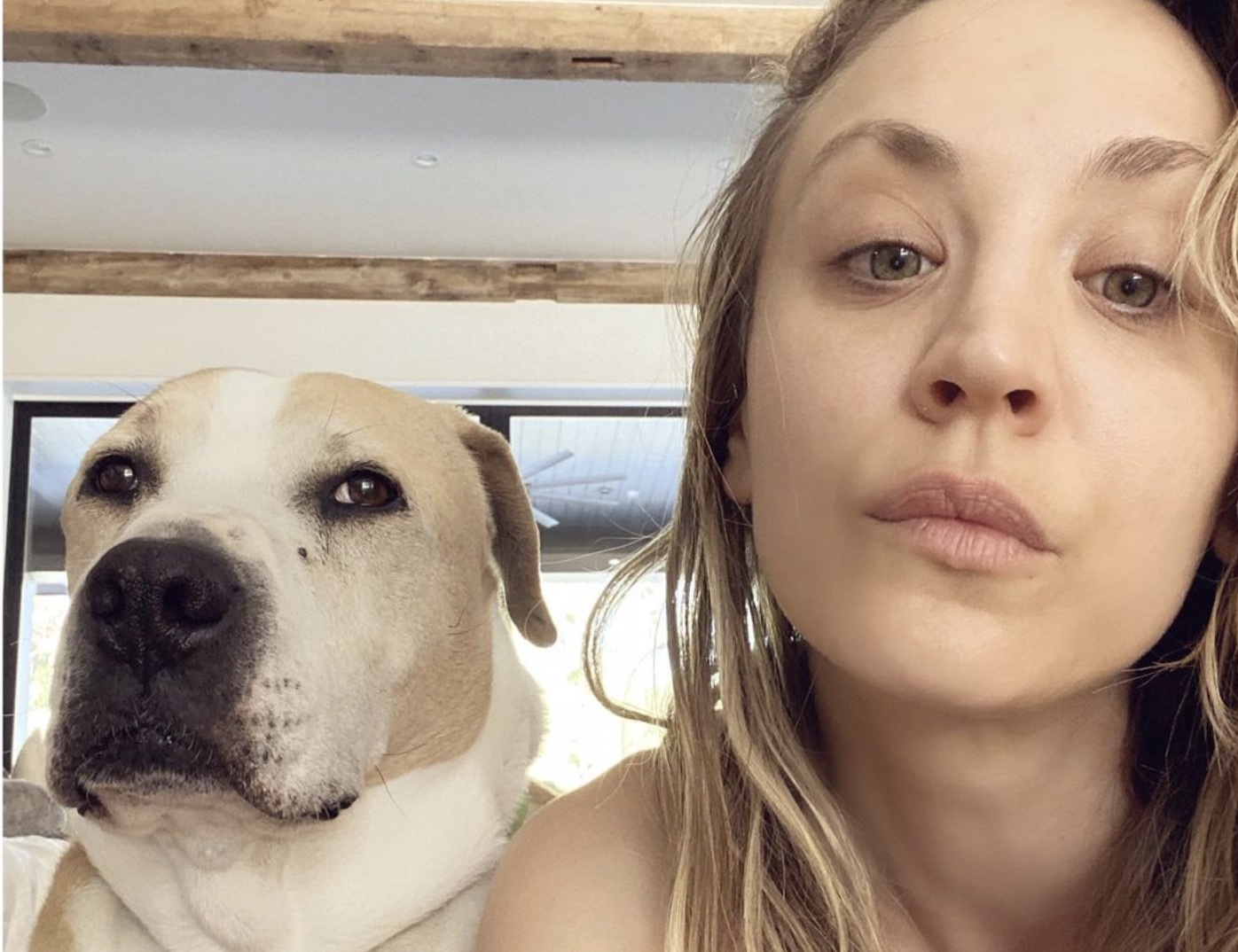 Kaley Cuoco Shares Heartbreaking News About Her Dog Norman Kaley cuoco's yes, norman will join forces with berlanti productions and wbtv to develop the story of doris day as a limited series. kaley cuoco shares heartbreaking news