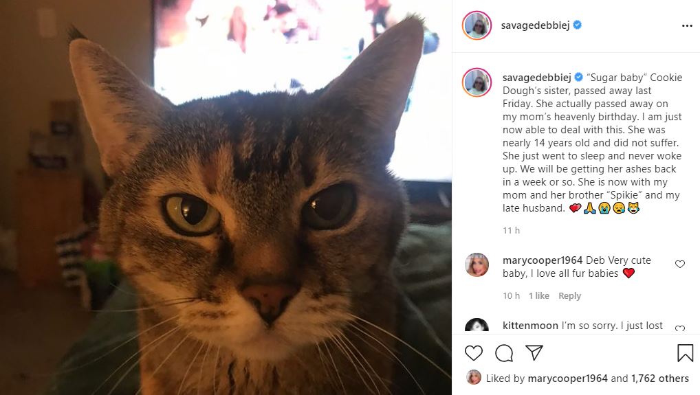 TLC's Debbie Johnson Cat Sugar Baby Died