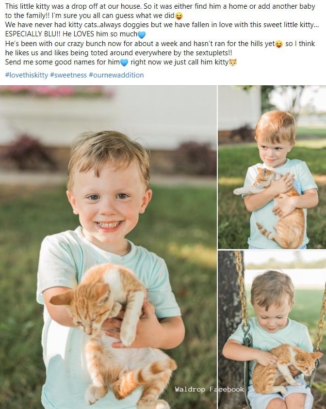 Sextuplets - Waldrops - Facebook