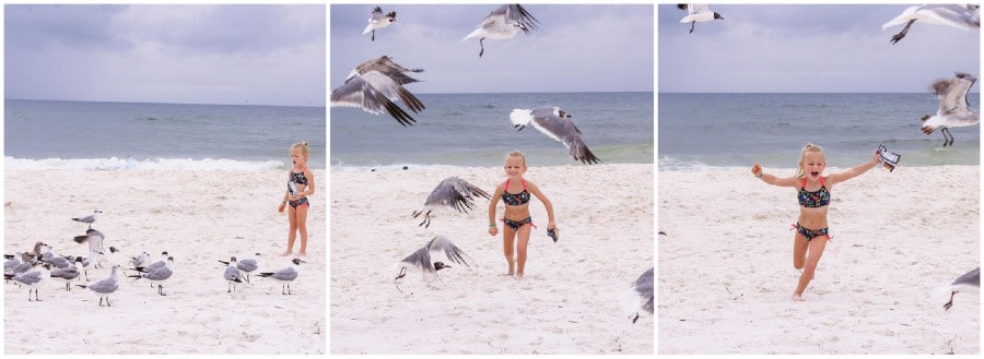 OutDaughtered Riley Busby vs. seagulls/Credit: Adam Busby/Instagram