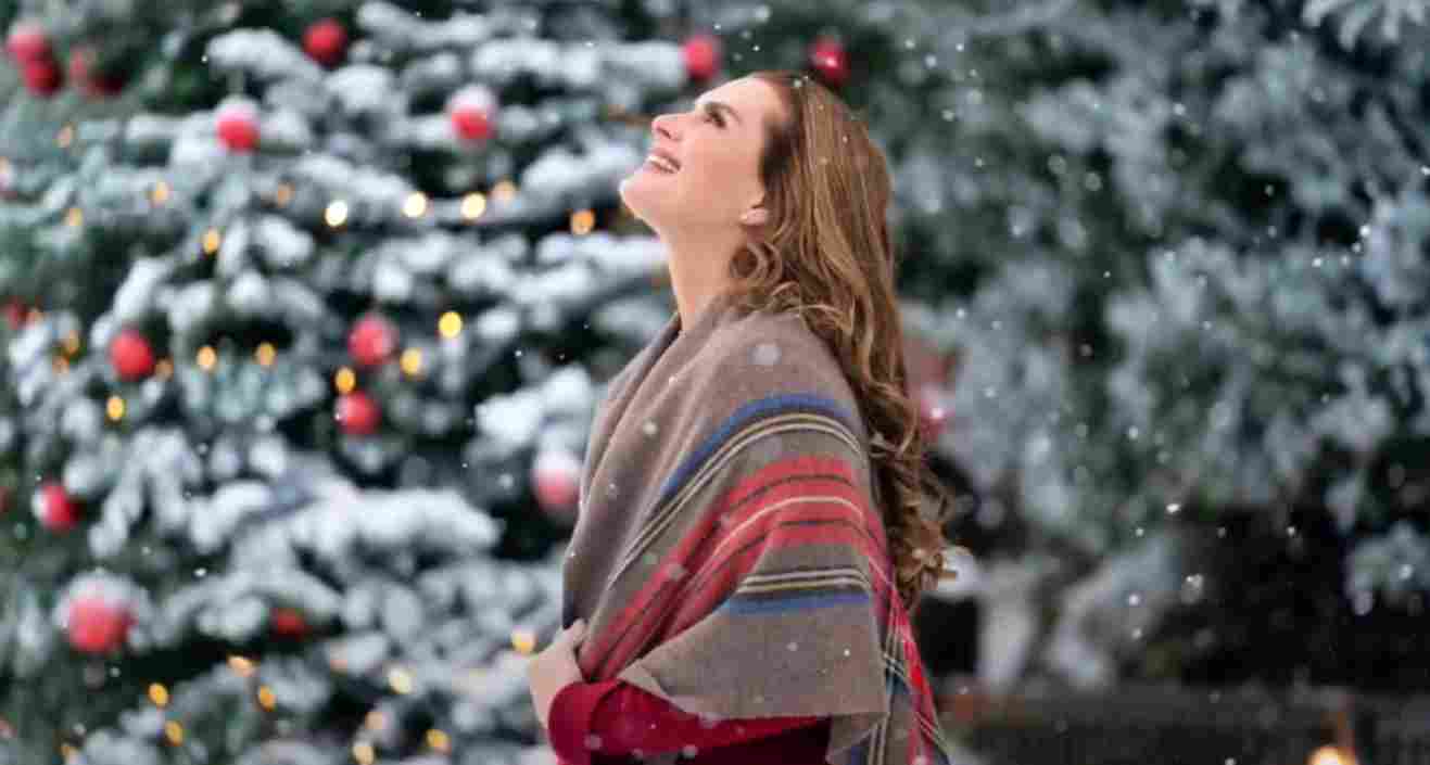 Netflix movie A Castle for Christmas stars Brooke Shields