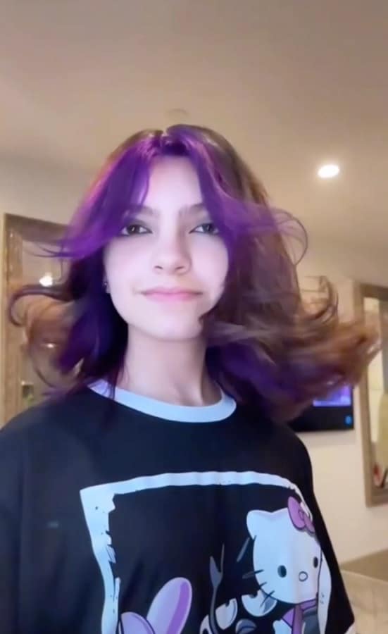 Sophia Abraham's Purple Hair [Screenshot | TikTok]
